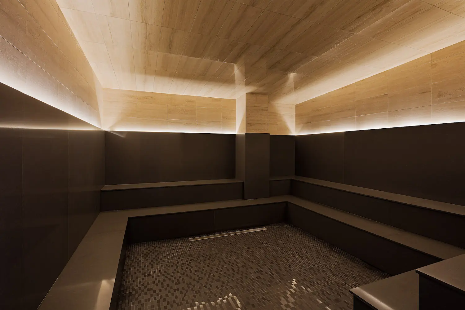 Presidential City Apartments wellness amenity — image 12
