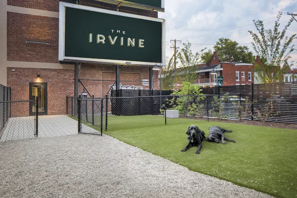 The Irvine dog park — image 4