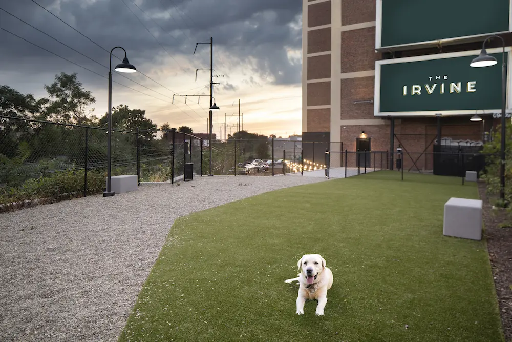 The Irvine dog park — image 5